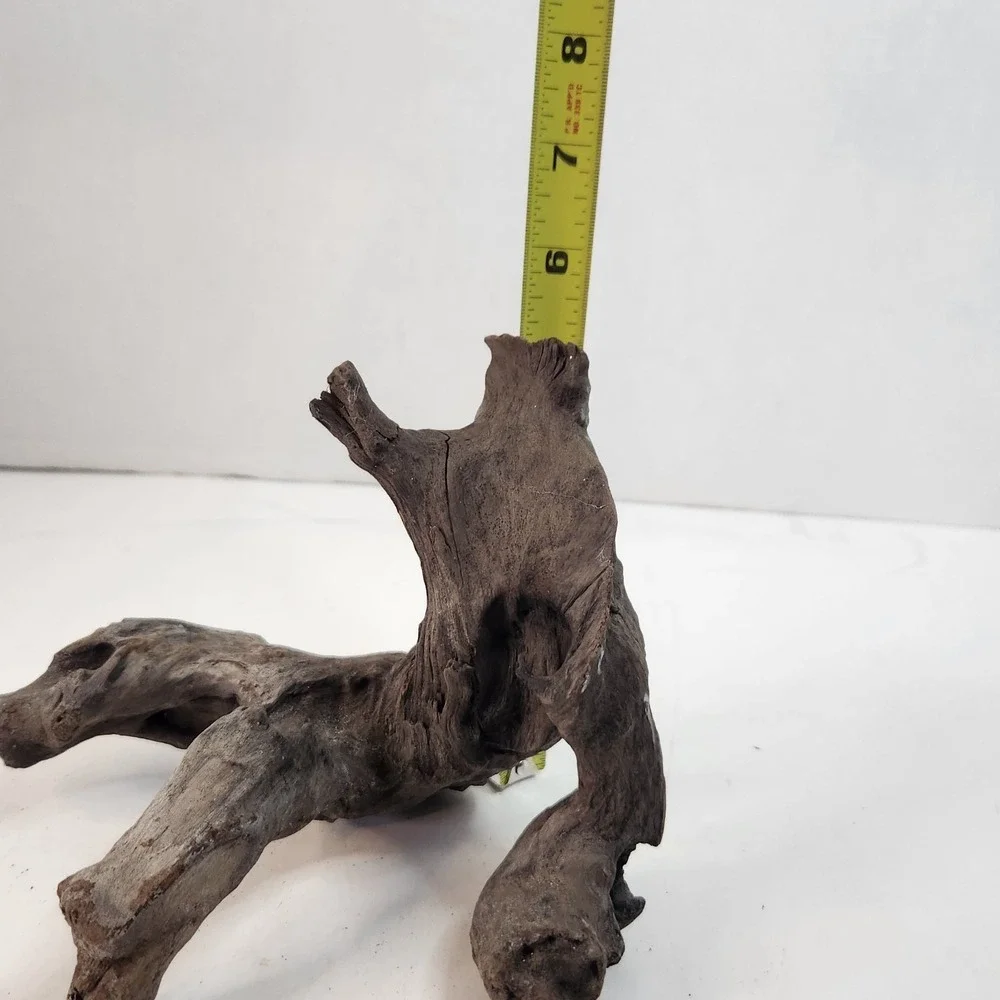 Natural driftwood for aquarium/terrarium/arts and crafts/Taxidermy Burl Habitat